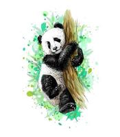 cucciolo di panda seduto su un albero da una spruzzata di acquerello schizzo disegnato a mano illustrazione vettoriale di vernici