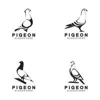 modello di progettazione dell'illustrazione dell'icona di vettore di logo dell'uccello del piccione