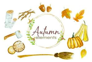 impostato di autunno le foglie e zucche nel acquerello stile vettore