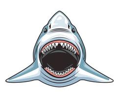 squalo animale selvatico carattere testa icona colorata vettore