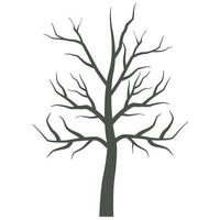 icona isolata di pianta albero secco vettore
