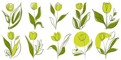 impostato di tulipano fiore mano disegnato forme e scarabocchio design elementi. esotico giungla foglie, fiori e impianti. astratto contemporaneo moderno di moda vettore illustrazione. Perfetto per manifesti, adesivi