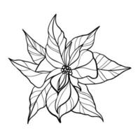 linea arte clipart di Natale fiore vettore illustrazione