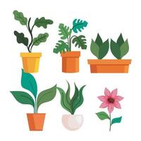 piante da giardinaggio all'interno di vasi e disegno vettoriale di fiori