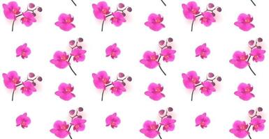 seamless pattern naturalistico bella colorata rosa orchidea vettore