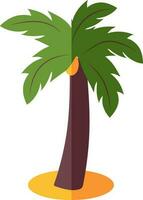 vettore illustrazione di Noce di cocco albero.