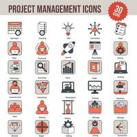30 progetto gestione colorato icona impostare. vettore