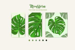 La foglia della pianta monstera dalle foreste tropicali ritagliata nell'immagine può essere utilizzata per biglietti di auguri, volantini, inviti, web design per tutto vettore