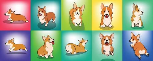 set di cute cartoon illustrazione vettoriale di un cucciolo di cane corgi