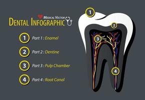 design piatto infografica dentale vettore