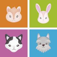 animale domestico set di icone gatto cane coniglio criceto colore di sfondo vettore