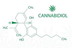 foglia di cannabis sativa con formula cannabidiolo vettore