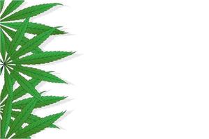 foglie di cannabis sativa su sfondo bianco illustrazione di marijuana sfondo con copyspace vettore