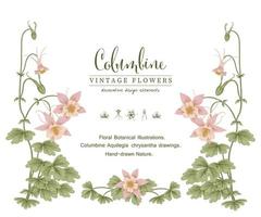 modello di carta di invito con illustrazioni botaniche disegnate a mano vintage fiore rosa colombina vettore