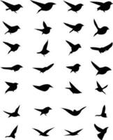 silhouette volante uccelli vettore