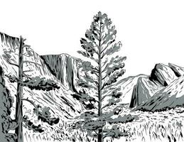 wawona tunnel vista Visualizza di Yosemite nazionale parco i fumetti stile disegno vettore