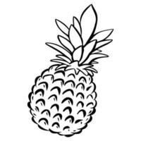 ananas frutta vettore illustrazione
