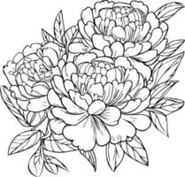 mazzo di peonia fiore, mano disegnato matita schizzo colorazione pagina e libro per adulti isolato su bianca sfondo floreale elemento tatuaggio, illustrazione inchiostro arte. peonia vettore disegno, peonia fiori