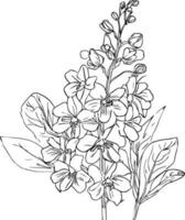 larkspur linea disegno, tatuaggio delfinio fiore disegno, delfinio tatuaggio nero e bianca, matita delfinio disegno, delfinio fiore mazzo disegni, blac delfinio fllower botanico vettore arte.