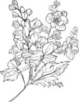 larkspur luglio fiore tatuaggio, luglio nascita fiore tatuaggio, nero luglio nascita fiore larkspur tatuaggio, botanico foglia germoglio illustrazione inciso inchiostro arte stile. viola del pensiero fiore schizzo. Vintage ▾ larkspur disegno. vettore