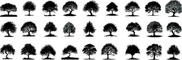 un' impostato di 27 pezzi albero silhouette design con trasparente sfondo e vettore illustrazione