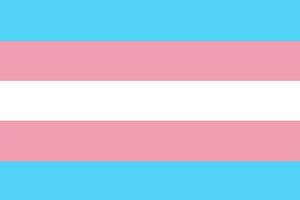 transgender bandiera. simbolo movimento lgbt. elemento di sessuale minoranze, gay e lesbiche. vettore illustrazione.