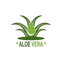 aloe Vera logo illustrazione modello design vettore