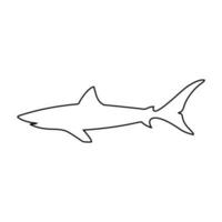 squalo icona vettore. mare vita illustrazione cartello. pesce simbolo o logo. vettore