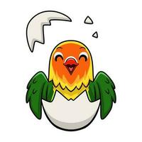 carino fischer amore uccello cartone animato dentro a partire dal uovo vettore