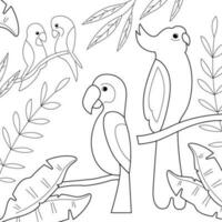 colorazione pagina con pappagalli. scarabocchio nero e bianca vettore illustrazione.