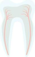 dente struttura decorazione design trattamento stomatologia vettore