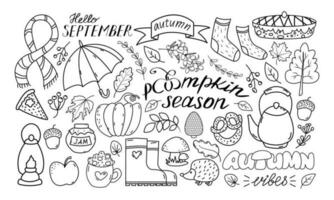 autunno impostare, mano disegnato elementi scarabocchio stile - calligrafia, autunno foglie, ombrello, zucca. vettore