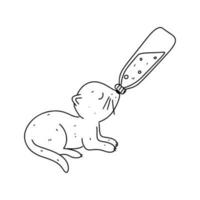 poco gattino con bottiglia nel mano disegnato scarabocchio stile. assistenza infermieristica un animale. vettore illustrazione isolato su bianca. colorazione pagina.