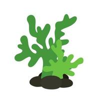 carino alga marina clip arte mare pianta scarabocchio cartone animato animato vettore illustrazione