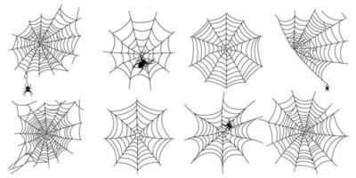 impostato di pauroso nero ragno ragnatela isolato su bianca. spaventoso Halloween decorazione. schema ragnatela. vettore