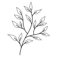 mano disegnato nero e bianca rami, foglie, foglia, petalo arredamento elementi vettore
