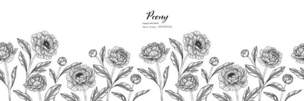 illustrazione botanica disegnata a mano di fiori e foglie di peonia senza cuciture con line art vettore