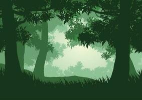 vettore illustrazione di nebbioso foresta silhouette.