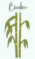 bambù icona, natura, logo, illustrazione design. vettore