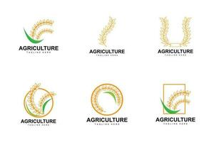 riso logo, azienda agricola Grano logo disegno, vettore Grano riso icona modello illustrazione