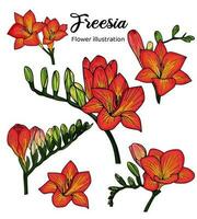 fresia fiori colorazione libro mano disegnato illustrazione vettore