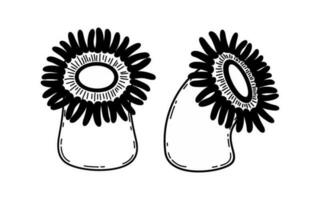 nero e bianca schizzo di mare anemone. attinia. subacqueo creatura. monocromatico vettore clipart di oceano animale isolato su un' bianca sfondo.