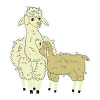 lama mamma. carino soffice alpaca. divertente sorridente accogliente animali. cartone animato personaggio vettore scarabocchio illustrazione.