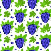 senza soluzione di continuità modello con grappoli di blu uva. vettore illustrazione con frutta. estate sfondo con frutti di bosco di uva e verde le foglie.