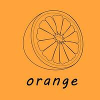 vettore illustrazione di un' arancia. Linee arte tropicale frutta, scarabocchio realistico
