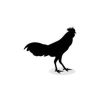 pollo silhouette design vettore