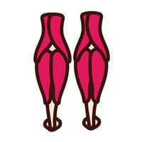 gambe ossa e muscoli corpo parte umana stile piatto vettore