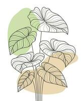 mano disegnato piatto design semplice fiore e tropicale pianta schema vettore