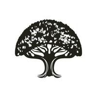 radice foglia famiglia albero di vita quercia banyan acero francobollo foca emblema etichetta logo vettore