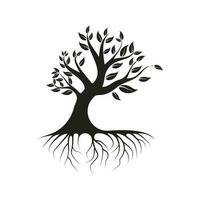 radice foglia famiglia albero di vita quercia banyan acero francobollo foca emblema etichetta logo vettore